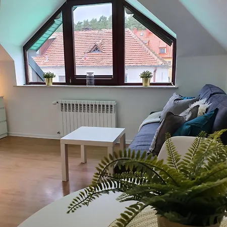 Zubrova * Gdańsk